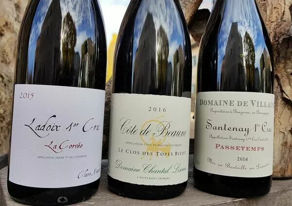 La Bourgogne un Terroir Unique !